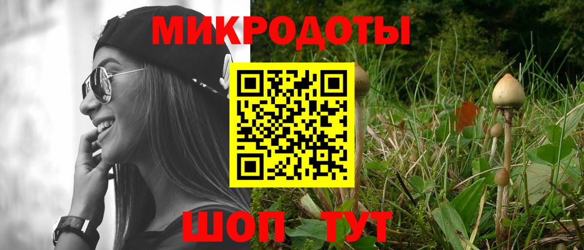 Галлюциногенные грибы Cubensis  Вход с VPN  Качканар 
